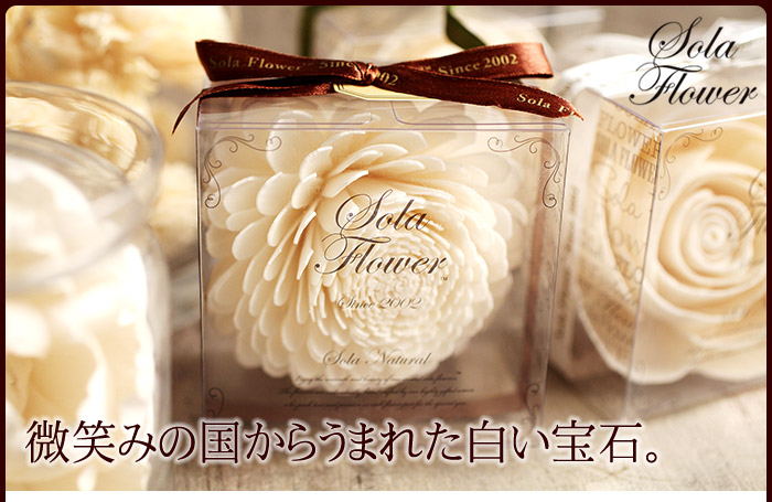 Sola Flower(ソラフラワー)ナチュラル