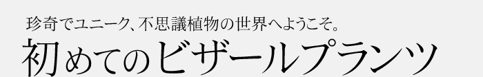 珍奇でユニーク、不思議植物の世界へようこそ。 初めてのビザールプランツ