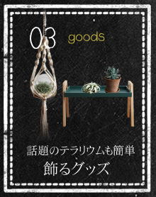 
話題のテラリウムも簡単 飾るグッズ