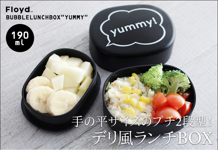 手の平サイズのプチ2段型! デリ風ランチBOX