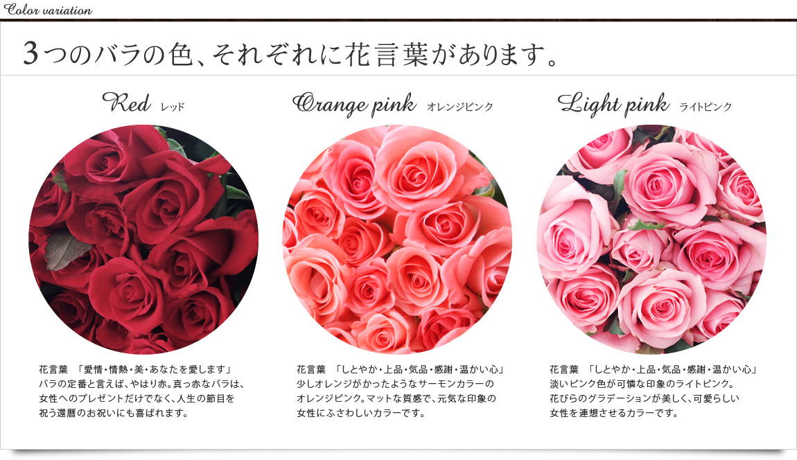 3つのバラの色、それぞれに花言葉があります。