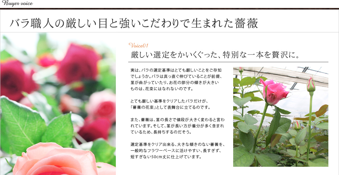 バラ職人の厳しい目と強いこだわりで生まれた薔薇