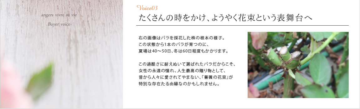 たくさんの時をかけ、ようやく花束という表舞台へ