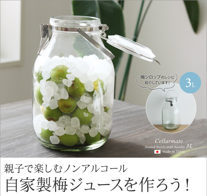 親子で楽しむノンアルコール　自家製梅ジュースを作ろう！