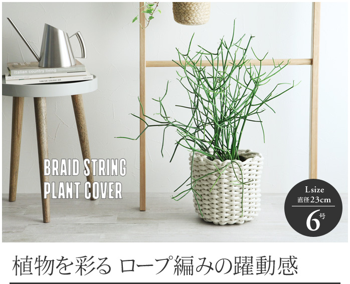 植物を彩る ロープ編みの躍動感