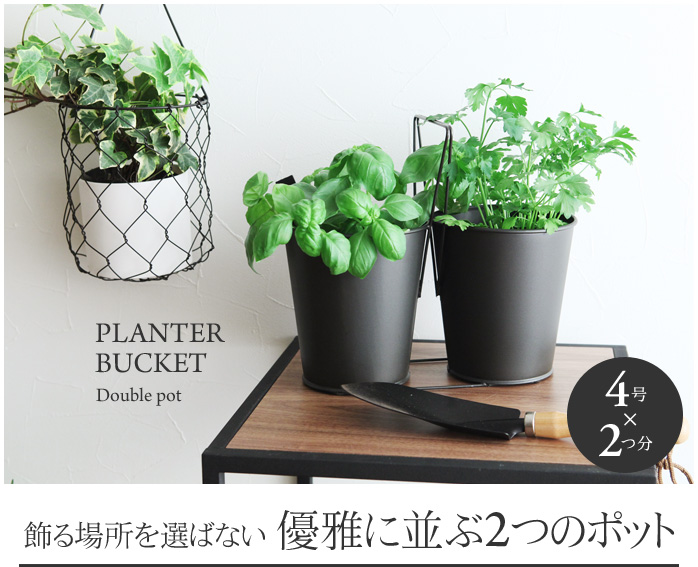飾る場所を選ばない 優雅に並ぶ2つのポット