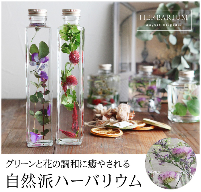 グリーンと花の調和に癒やされる 自然派ハーバリウム