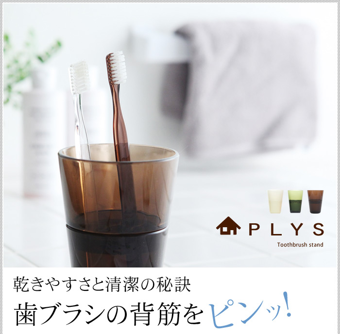 乾きやすさと清潔の秘訣 歯ブラシの背筋をピンッ!
