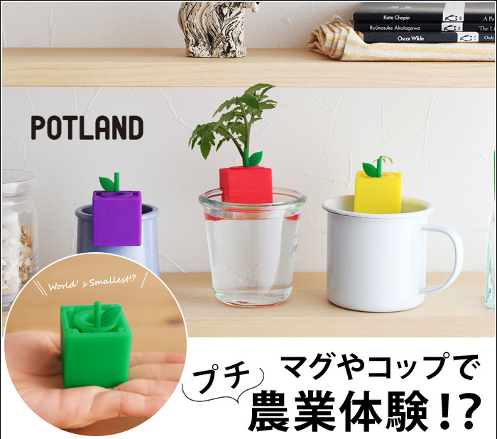 マグやコップでプチ農業体験
