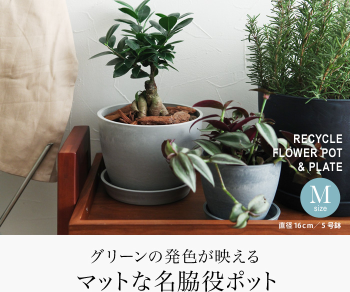 グリーンの発色が映えるマットな名脇役ポット