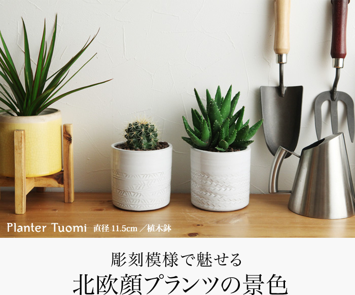 彫刻模様で魅せる北欧顔プランツの景色