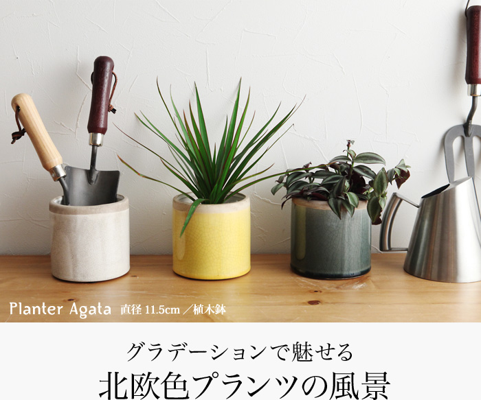 グラデーションで魅せる北欧色プランツの景色
