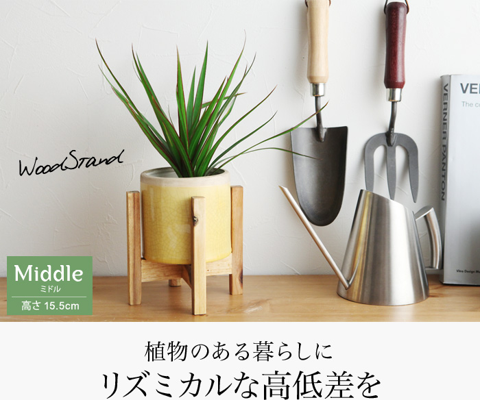 植物のある暮らしにリズミカルな高低差を
