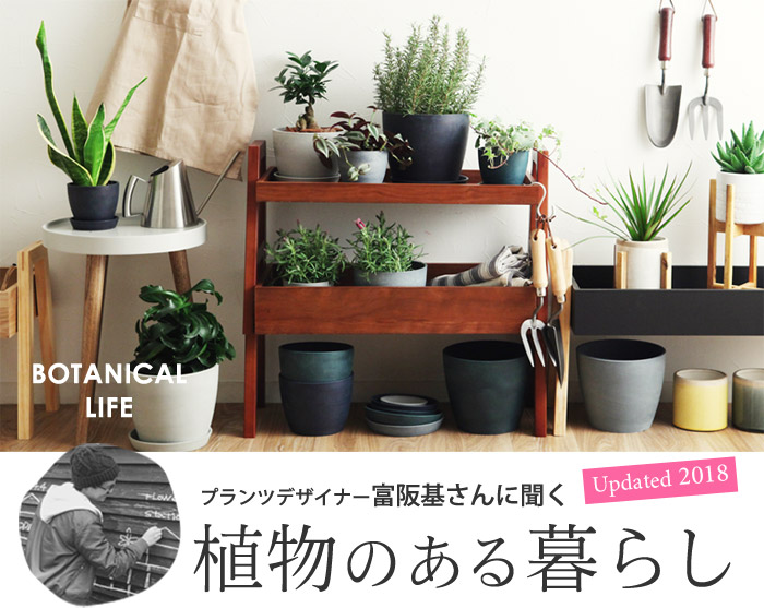 植物のある暮らし