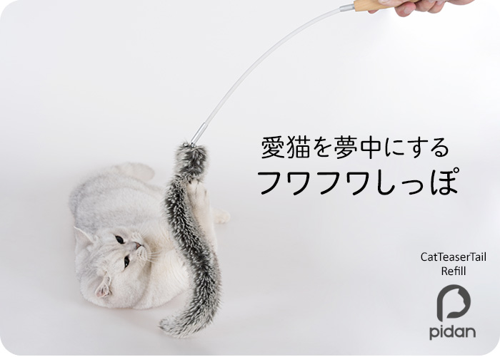愛猫を夢中にするフワフワしっぽ