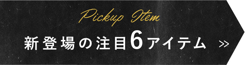 新登場の注目6アイテムはこちら