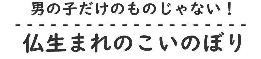 男の子だけのものじゃない！仏生まれのこいのぼり