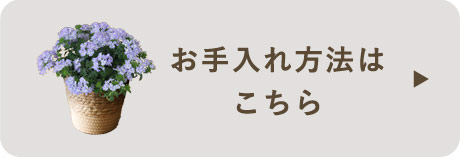 お花のしおり