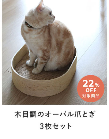 bon moment cat 爪とぎ