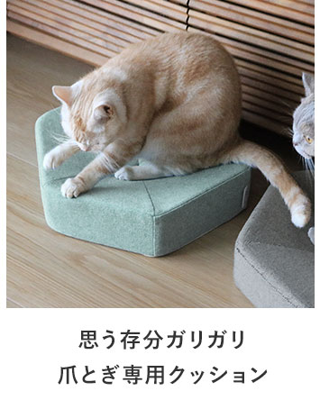 bon moment cat 別注 ガリボロスター 爪とぎクッション