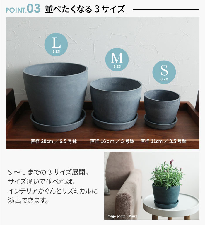 ラブリー鉢 サイズ 号 すべての美しい花の画像 ラブリー鉢 サイズ 号 すべての美しい花の画像
