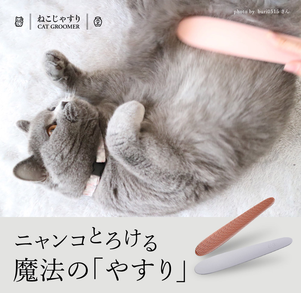 ねこじゃすり Cat Groomer 猫用ヤスリ やすりのワタオカ アンジェ Web Shop 本店