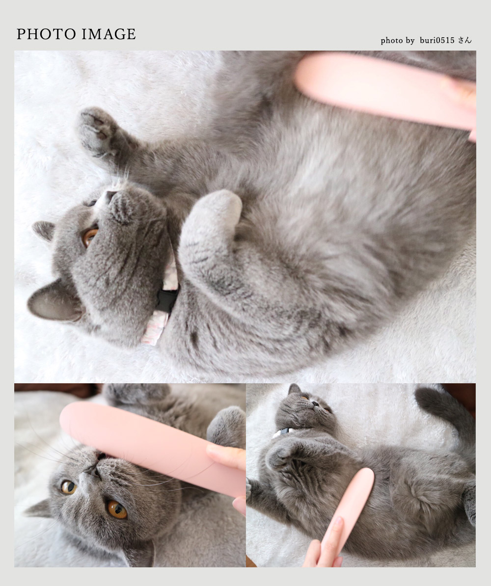 ねこじゃすり Cat Groomer 猫用ヤスリ やすりのワタオカ アンジェ Web Shop 本店