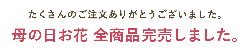 Merciシリーズ