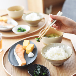 bon moment 毎日使いたくなる 四角箸 食洗機対応 抗菌／ボンモマン