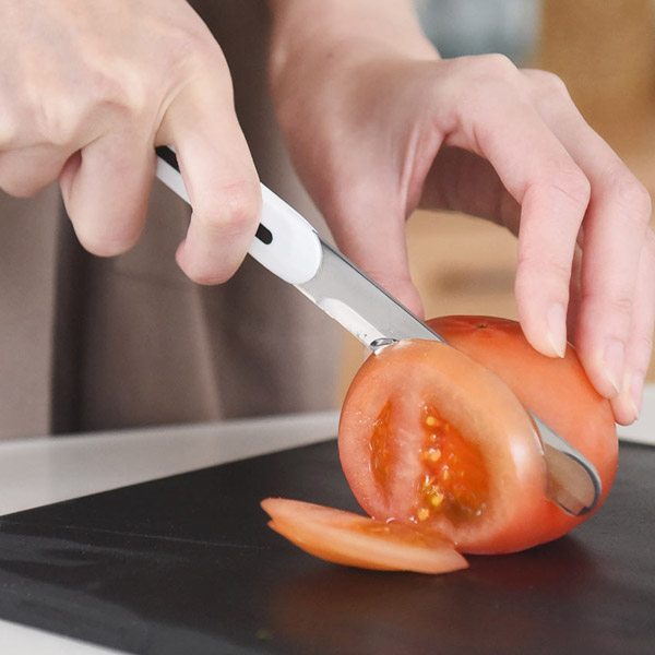 テーブルナイフ／ARCOS アルコス