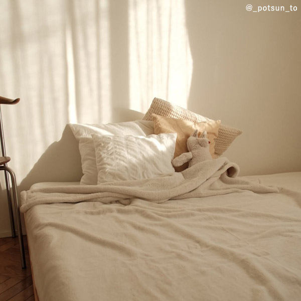 bon moment 伝説の毛布 シングル レギュラー マイクロファイバー 洗える／ボンモマン【送料無料】