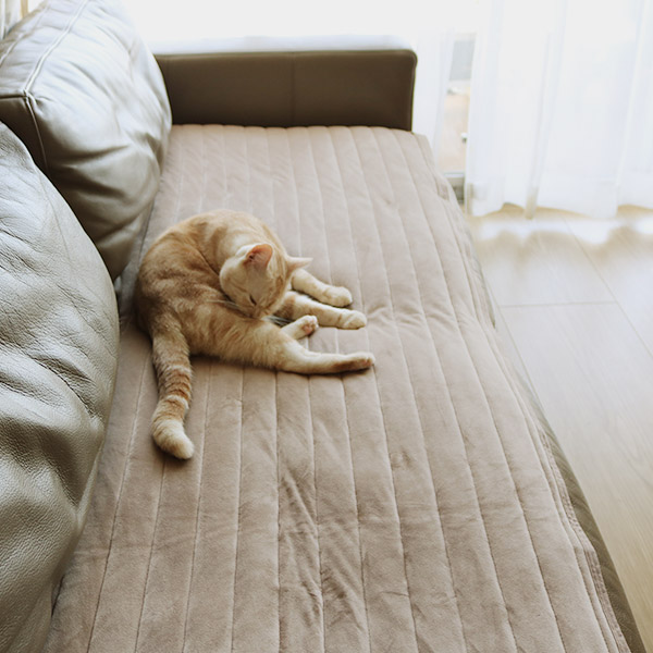 bon moment うっとりなめらかパフ ソファパッド 65×180cm／ボンモマン