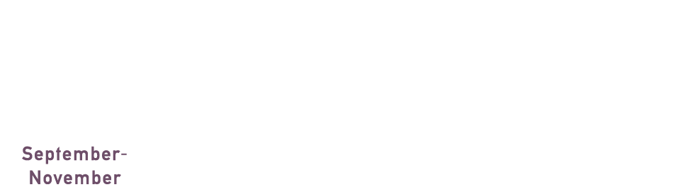 2023 9-11月