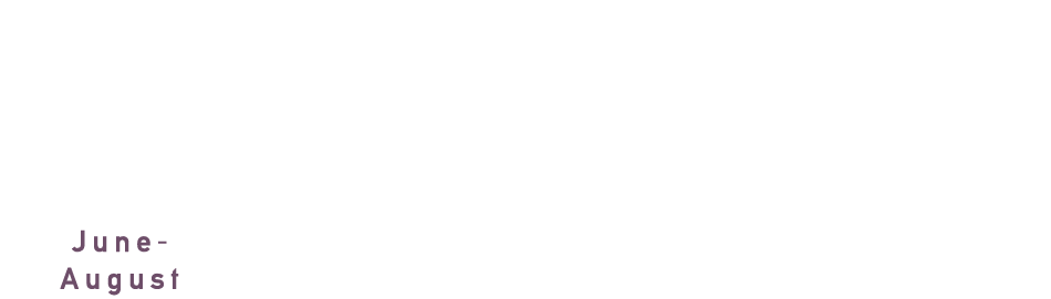 2023 6-8月