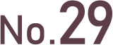 NO.29