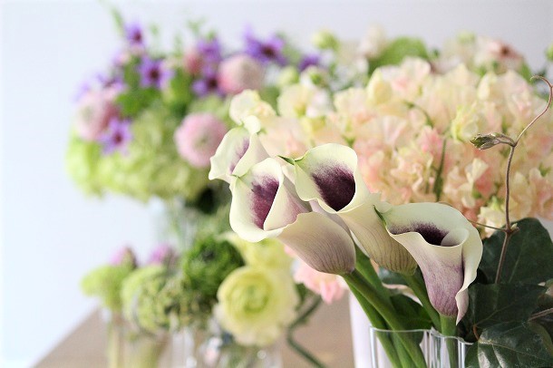 【フラワーデザイナー石井千花さんに聞く、お花のお手入れと飾り方のコツ・1】　基本のお手入れ