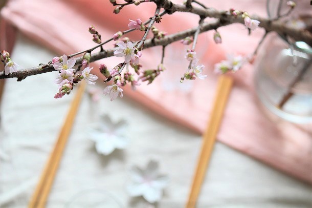 雨の日でも大丈夫。おうちでお花見をしよう！