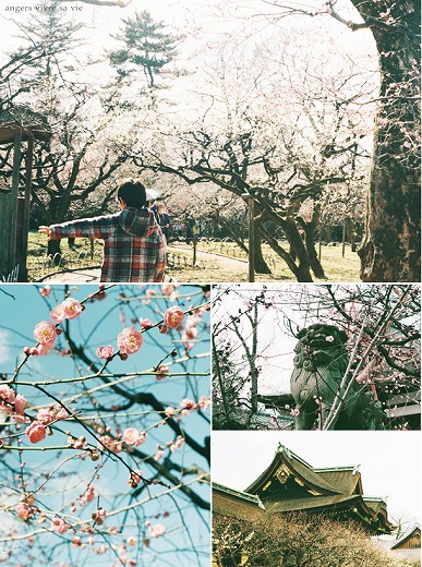 春の訪れを探して。北野の天神さんと上七軒さんぽ