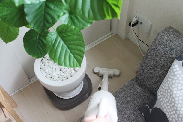 植物のお手入れが変わる！　「tidy」で始める快適ボタニカルライフ