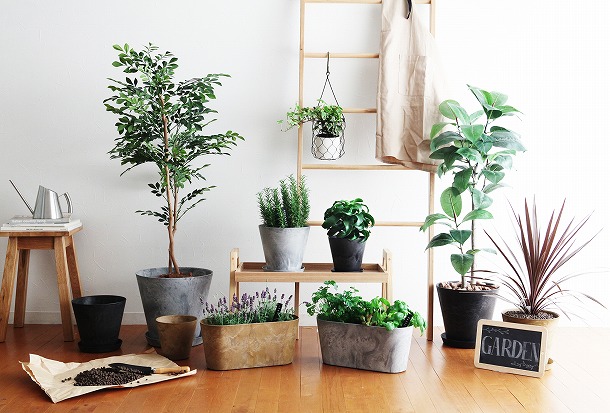 【プランツデザイナー富阪基さんに聞く植物のある暮らし・2】 　まずは小さな空間から　植物を愉しむ飾り方