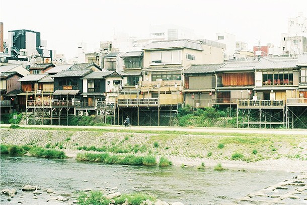 桜の後のお楽しみ。京都・川端通、新緑のトンネル。