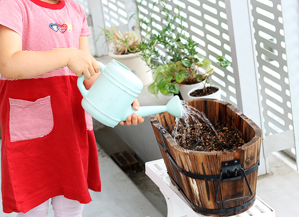 【子どもと育てる】小さな家庭菜園はじめました