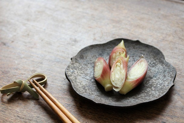 菌活にも効果的？季節の野菜でお手軽ぬか漬け生活始めませんか？