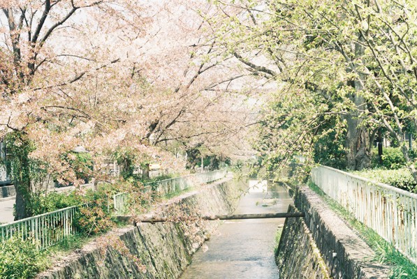 春うらら 春さんぽ に出かけよう アンジェ日々のコラム