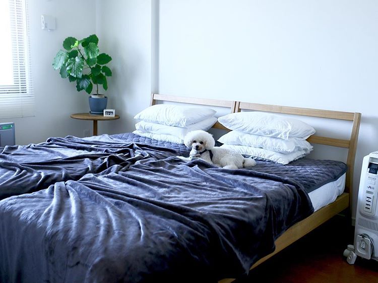【インスタグラマーさんのもの選び】「#朝ベッドから出られなくなる毛布　」寝室コーデ集