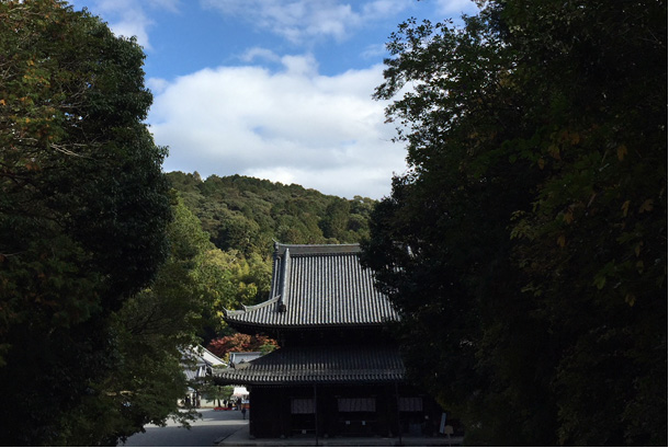 紅葉シーズン！東福寺で紅葉狩り