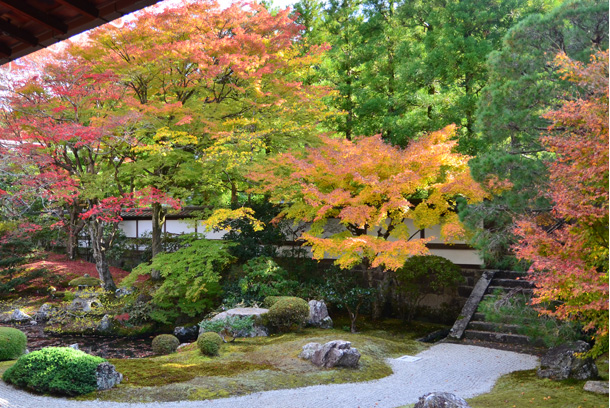 紅葉シーズン！東福寺で紅葉狩り