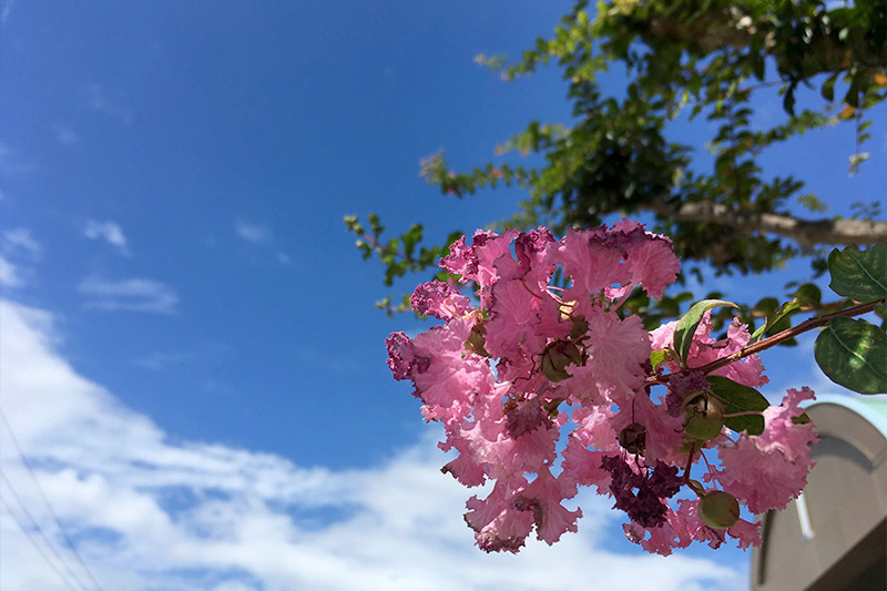 【ありきたりな日常を楽しむためのヒント】今やっておきたい、夏じまい