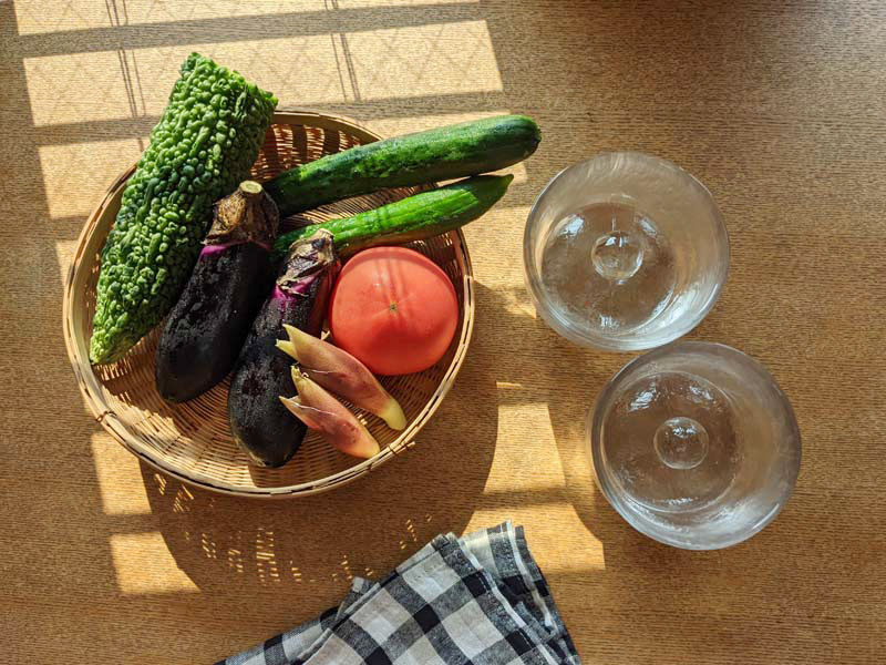 あまった夏野菜を使い切り！うつわになる鉢で、暑い日もパリポリ簡単浅漬け