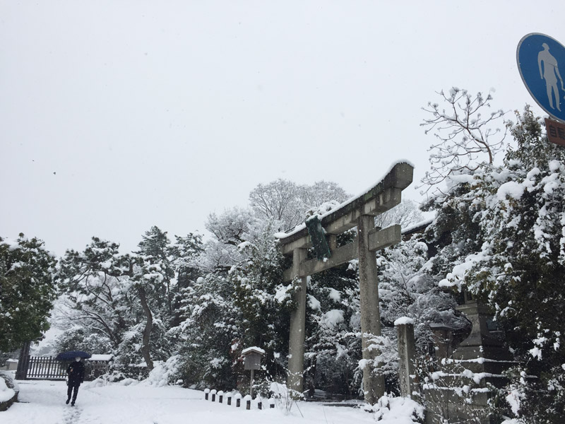 【連載】京都のちょっといいこと〜京の冬〜